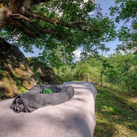 Gite Du Mont Plaisir Villa Chouvigny Екстериор снимка