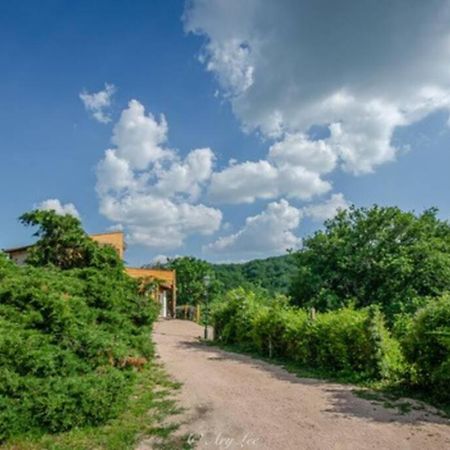 Gite Du Mont Plaisir Villa Chouvigny Екстериор снимка
