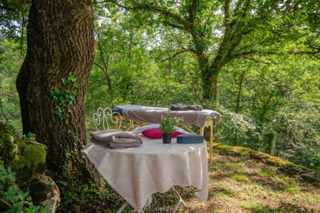 Gite Du Mont Plaisir Villa Chouvigny Екстериор снимка